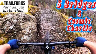 5 Bridges and Cosmic Charlie, 2 Fast Flow...