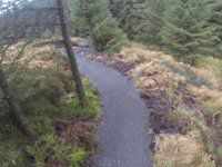 Stream trail course check..