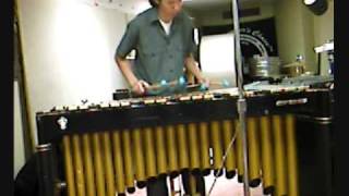 Vienna - David Friedman