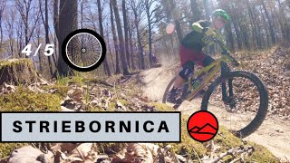 Striebornica trail 2020