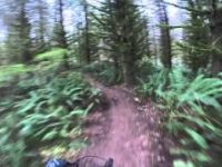 Mountain Biking Lord Hill Regional Park -...