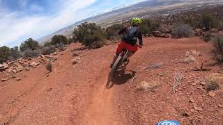 Snake Bite Richfield Utah