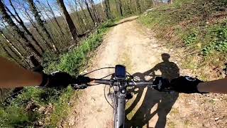 Auerbacher-Schloss-Trail