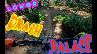 Lower Crash Palace @ Rangituhi Trail Park