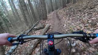 Big Bear - Downhill   Bear Brook State Park, NH