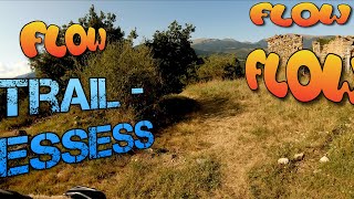 Trail - Essess