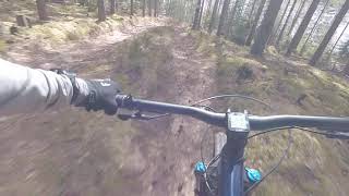 Ner mot Bergsbo