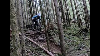 1st time on PBR at the Woodlot