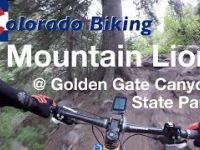 Mountain Lion Descent | Mountain Biking at...