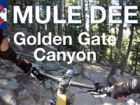Mule Deer Descent | Mountain Biking at Golden...