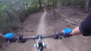 Flow Line Trailcenter Hohe Wand Wiese