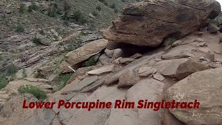 Porcupine Rim - Lower Porcupine Single Track