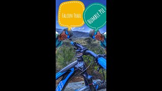 Humble Pie Served on the Falcon Trail