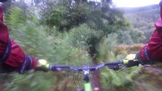 Yair Forest - Buzzards Lair