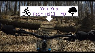 Yea Yup Fair Hill, MD **4K Stable Image**