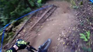 Cascadia Championships 2016 | Expert DH