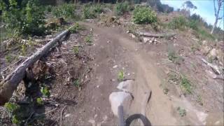 Bob's Trial POV | Galbraith Mountain 2016