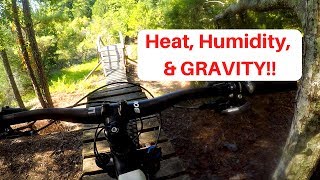 Santos MTB Trails - Vortex Trail and Jump...