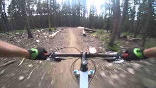 Barney Flow - Breckenridge, Colorado