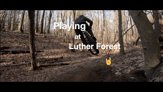 Luther Forest has some fun new features and...