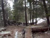 Where is the Snow?