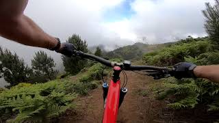 Madeira 2018: Buxo