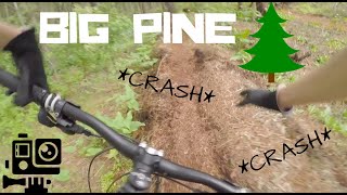 DOUBLE CRASH! | Big Pine w/ Ganna EDITS!!