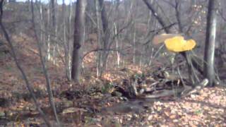 Two Mile Run County Park mtb trails