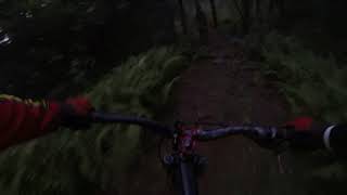 Brookvale PEI West DH MTB Trail