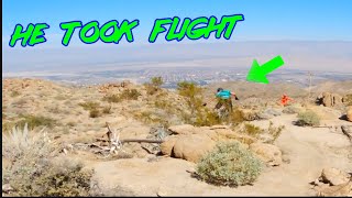 MTB Desert Rat Took Flight - Riding Palm...