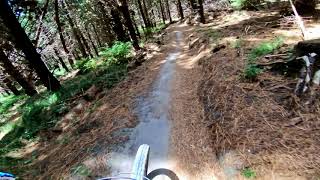Mint @ Eskdale MTB Park