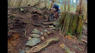 Rough trails in the Woodlot on hardtails