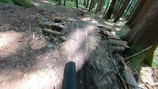 mountain bike trail riding