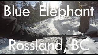 Blue Elephant, Rossland B.C. - Fat Biking