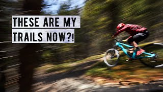 Our new BACKYARD TRAILS are INSANE.