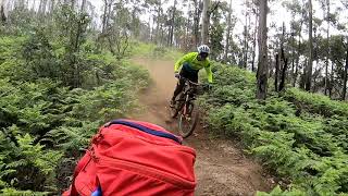 Madeira 2018: Rabbit Trail
