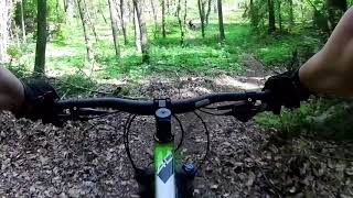 Trail mnima (Hortiatis)