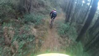 Tojo Jardín enduro mtb