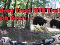 Lindsay Tract MTB Trail - Both Bears
