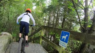 Upper Backyard Trail - Vojin