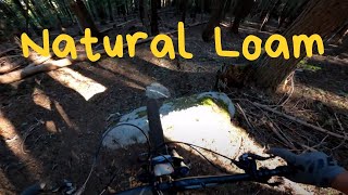 Nathan's Trail Previews | Washtub to Upper...
