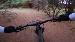 Riding The Very Mellow But Still Fun Wormhole...