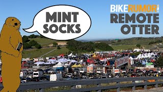 Remote Otter - Mint cycling socks adds lots of...