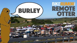 Remote Otter - New Burley bike trailer for...