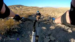 Biking Bears Best w/ Roger (#7)