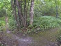 Maple Hill MTB
