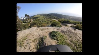 Fast run on Bluebird! 4/21/20