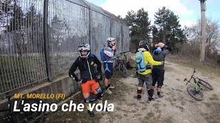 Asino che Vola, Mt. Morello (FI), 08-02-2020