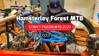 Hamsterley Forest MTB | Hamsterley MTB Trails