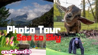 Photo Tour in the Sea to Sky   There were...